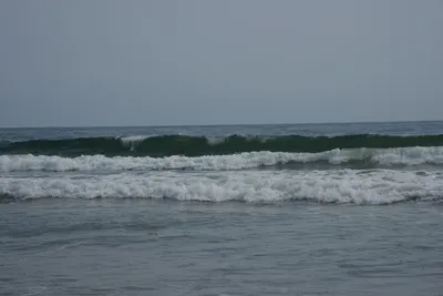 DSC_2262 (Large).JPG